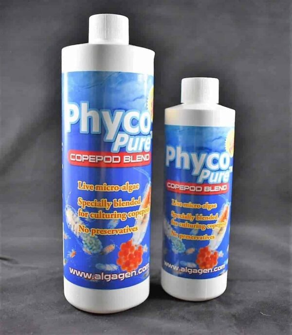 808078745-2-1.jpg AlgaGen - PhycoPure Copepod Blend - Live Feeds - Image 1