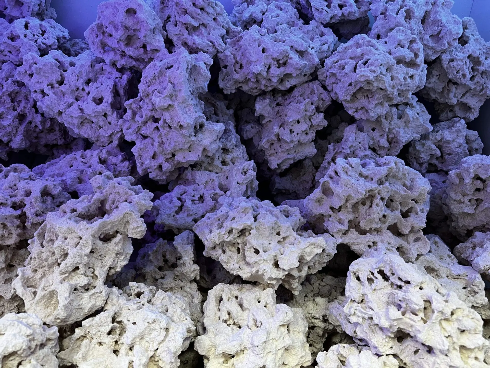 IMG_3437.jpg Reef Saver Rock (Sold Per LB) - DRY - Marco Rocks - Image 1