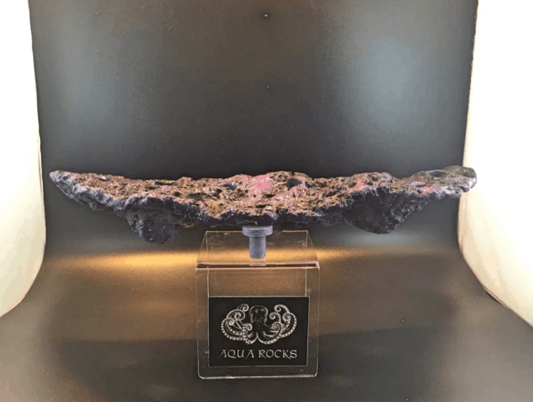 11 Hole Magnetic Shelf Display - Image 2