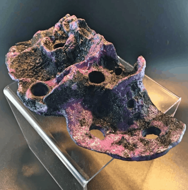 7 Hole Magnetic Montipora Coral Display - Image 4