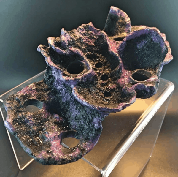 7 Hole Magnetic Montipora Coral Display - Image 2