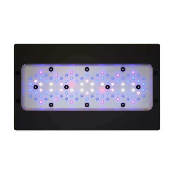 Radion XR30 G6 Blue Light Fixture - Image 1