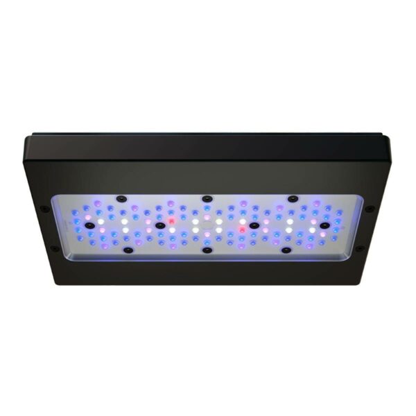 Radion XR30 G6 Blue Light Fixture - Image 2