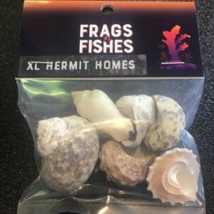 F2F XL Hermit Homes - Hermit Crab Shells