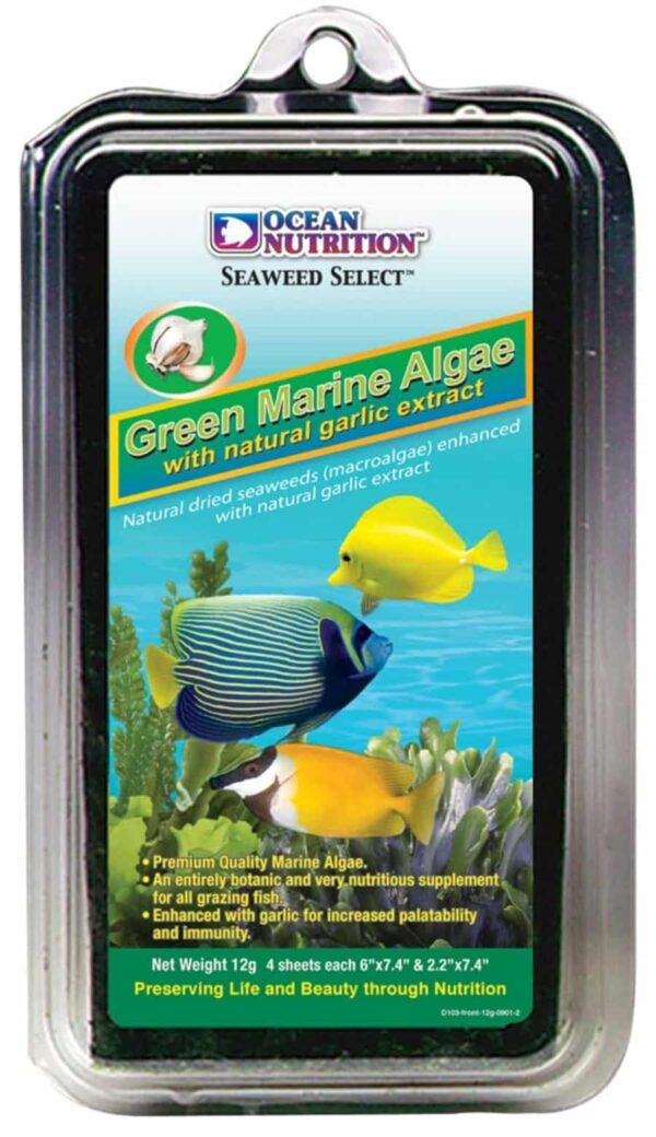 Green Marine Algae - Image 1