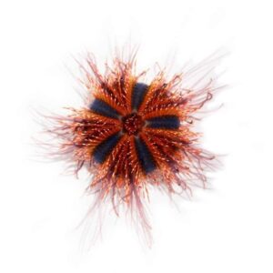 Red Tuxedo Urchin, Aquacultured ORA®