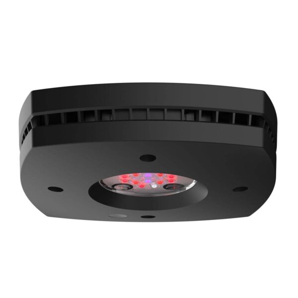 Aqua Illumination Prime 16 HD Fuge LED Light Fixture- Black - Image 2
