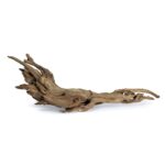 SR Aquaristik Weathered Driftwood - Image 5