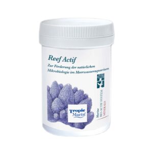 Reef Actif