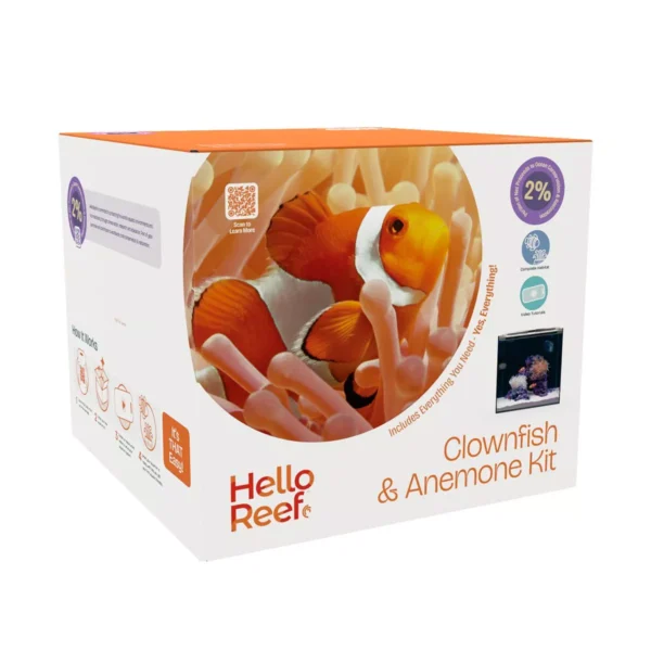 Clownfish & Anemone Aquarium Kit - Image 1