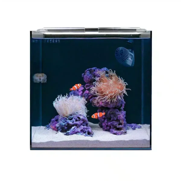 Clownfish & Anemone Aquarium Kit - Image 2