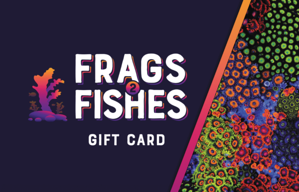 GiftCardFRONT1 copy eGift Card - Image 1