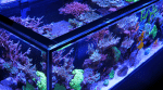 Reefer-S G2+ - Image 4