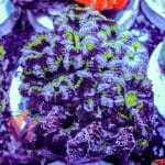 Hulk Acan - Image 3
